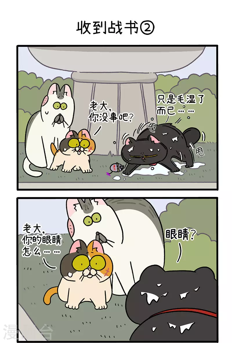 第41话 收到战书-第65话