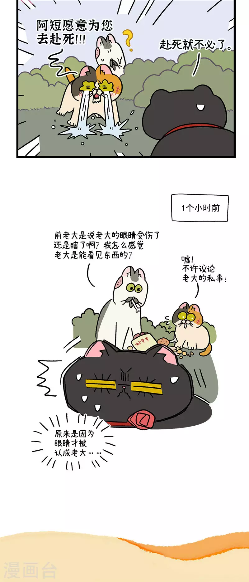 第41话 收到战书-第65话