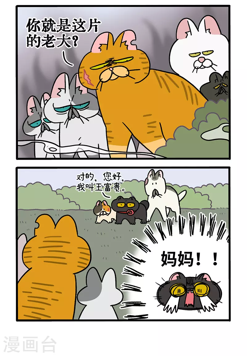 第43话1 帮派之争-第67话