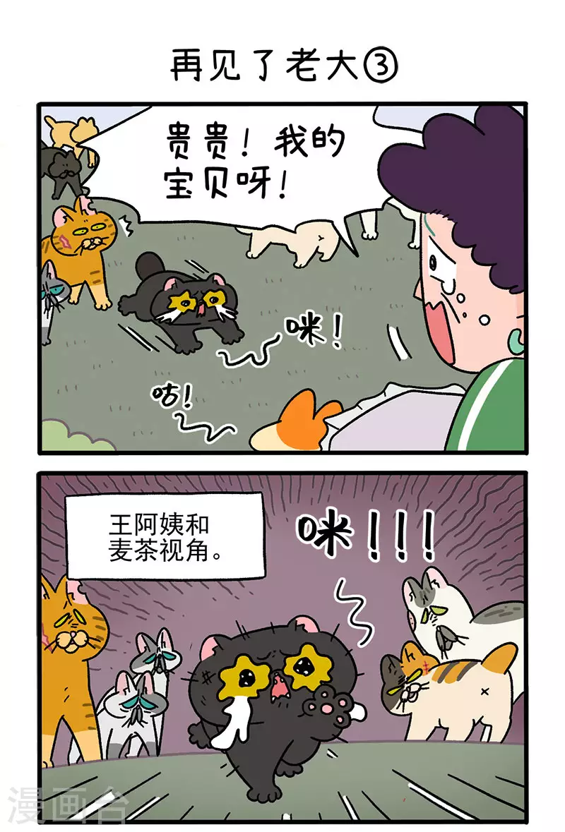 第45话1 再见了老大-第71话