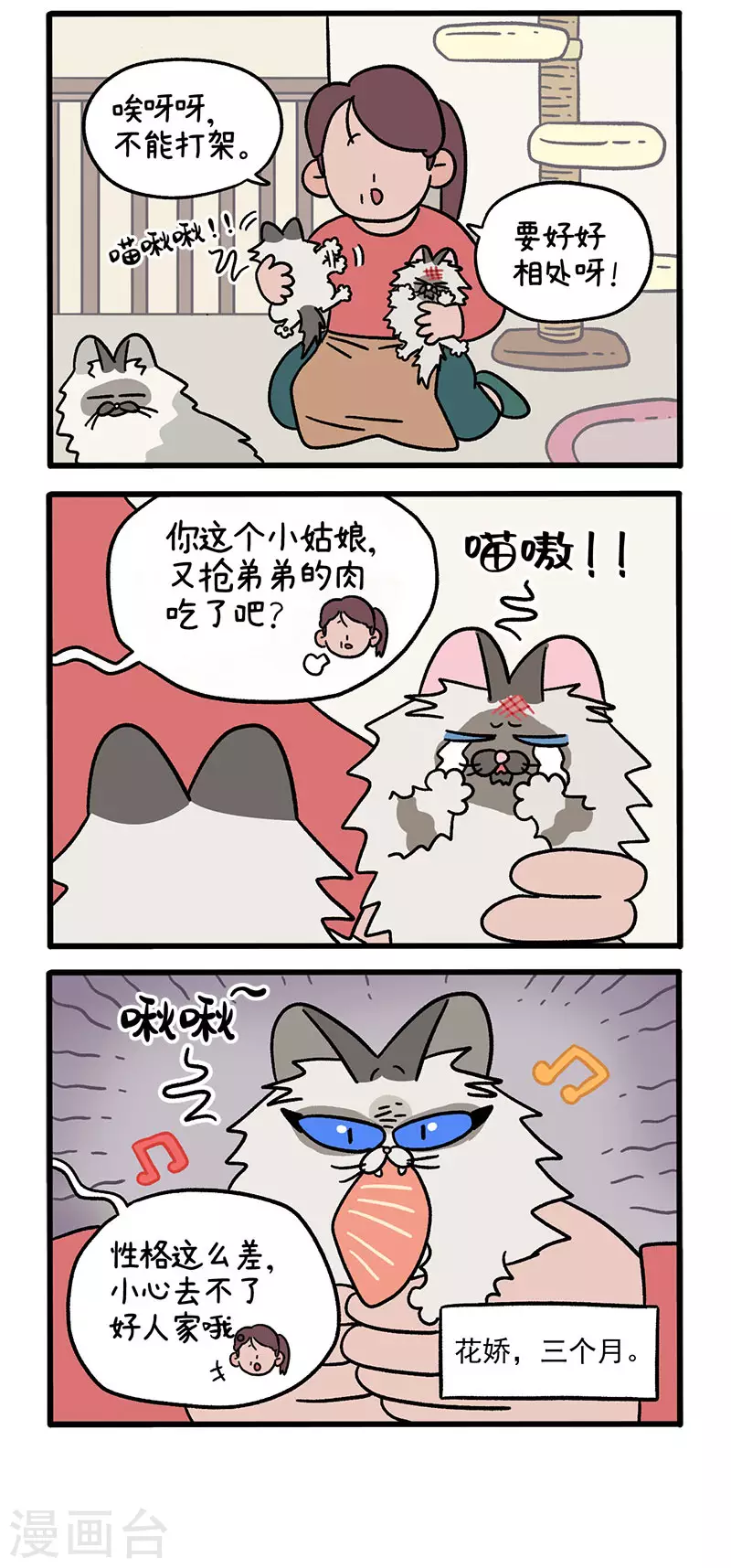 第47话1 花娇的过去-第75话
