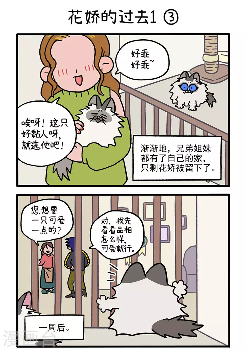第47话1 花娇的过去-第75话