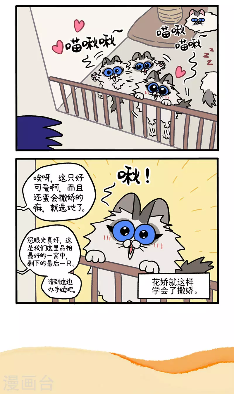 第47话1 花娇的过去-第75话