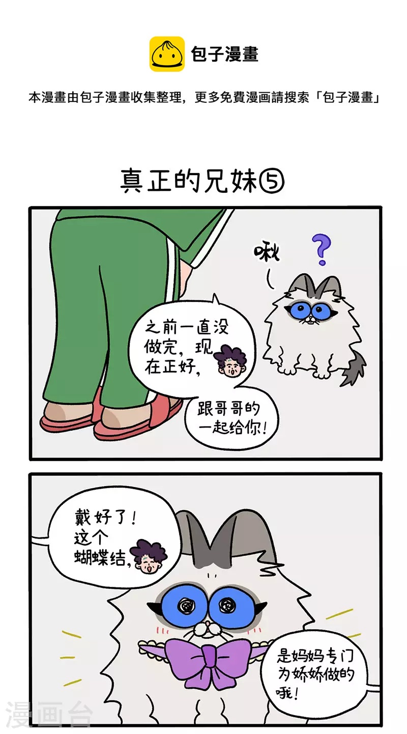 第49话2 真正的兄妹-第81话