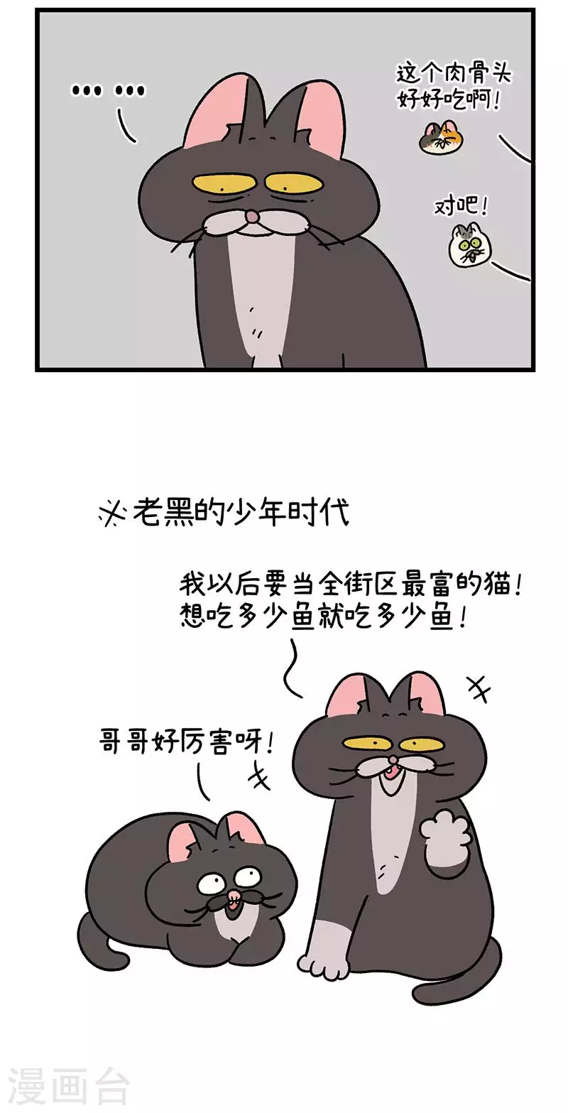 番外8下 黑亮亮帮的往事-第87话