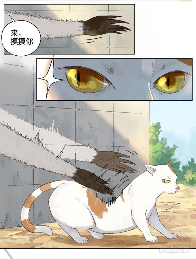 猫狗-第105话