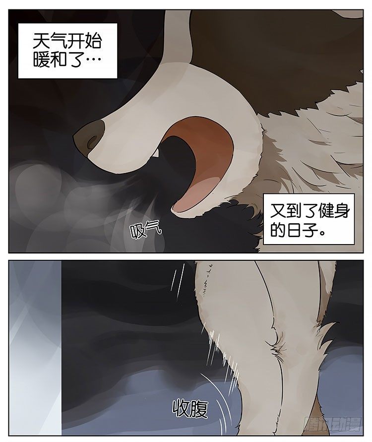 最近又要开始健身了-第113话