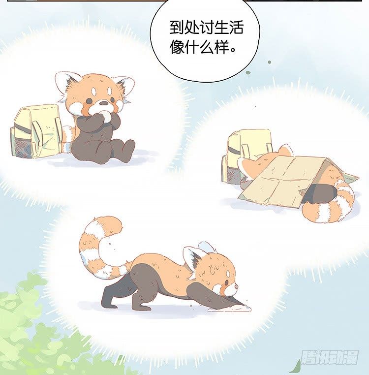 老板-第117话