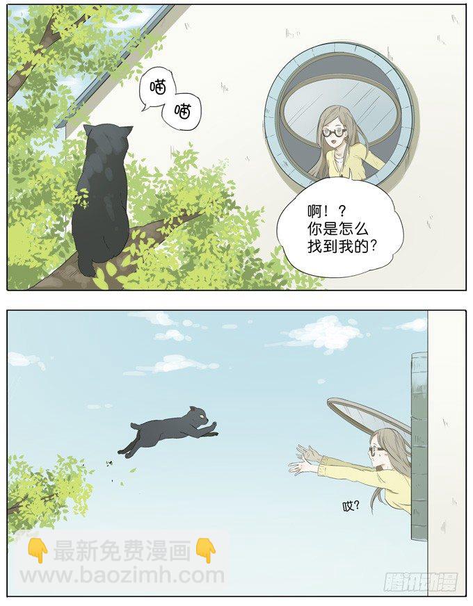 会飞的猫-第35话