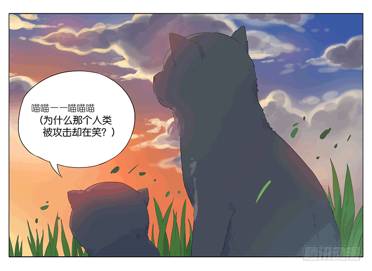 大饼-第47话