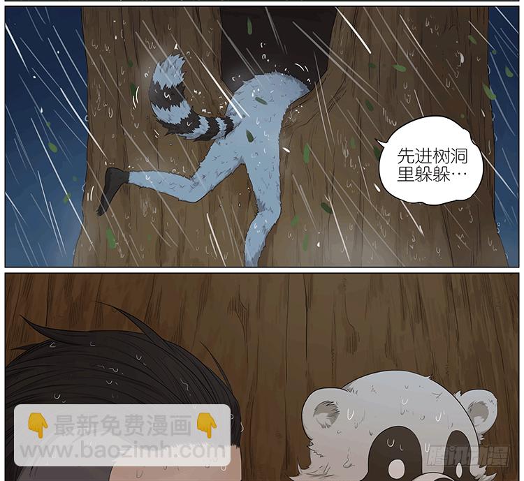 暴雨中的树洞-第75话