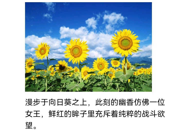 ☕【安科】过于漫长的幻想入 魔女（十六） 第4页