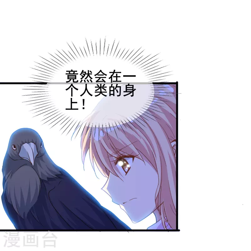 第57话 计划逃跑第一招：先忍你一手(1/2)-第57话