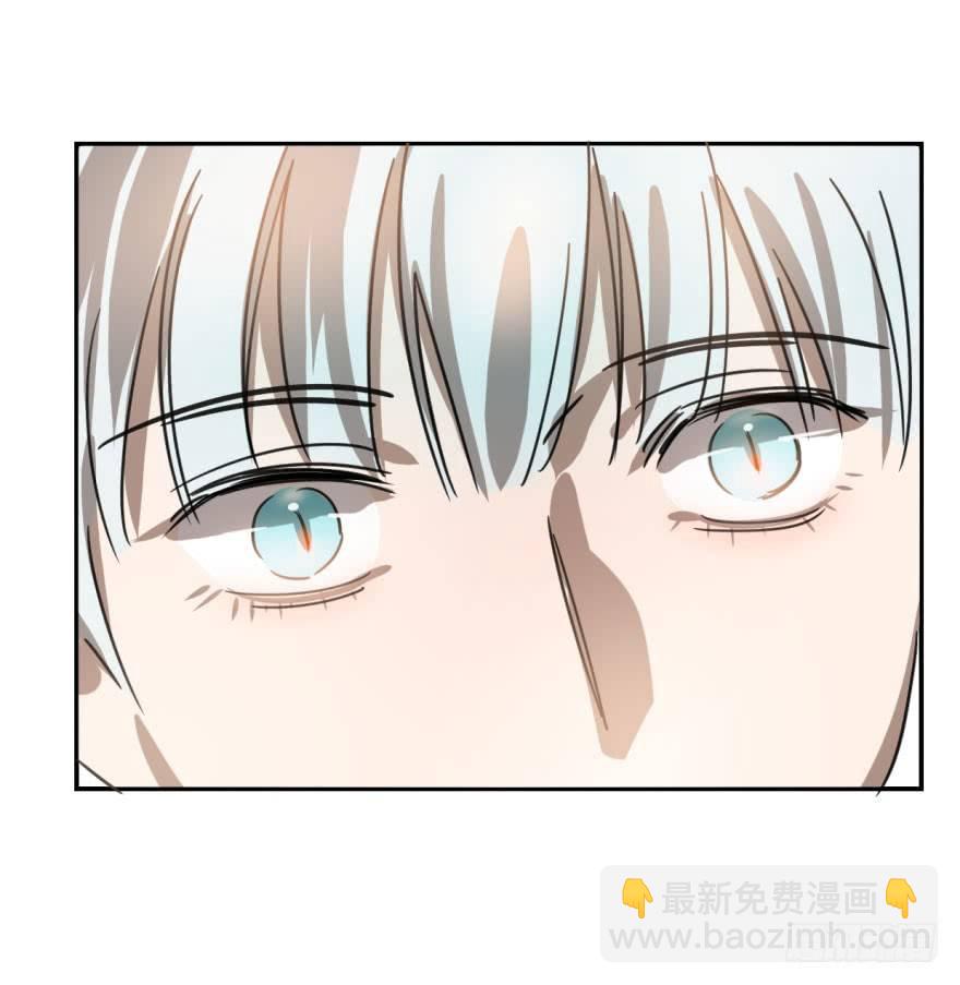第八话 鱼生艰难(1/2)-第11话