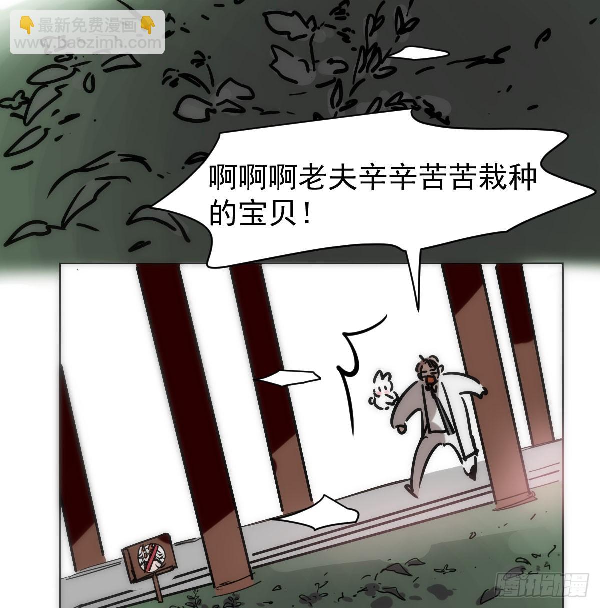 第216话 弄哭你了(1/2)-第247话