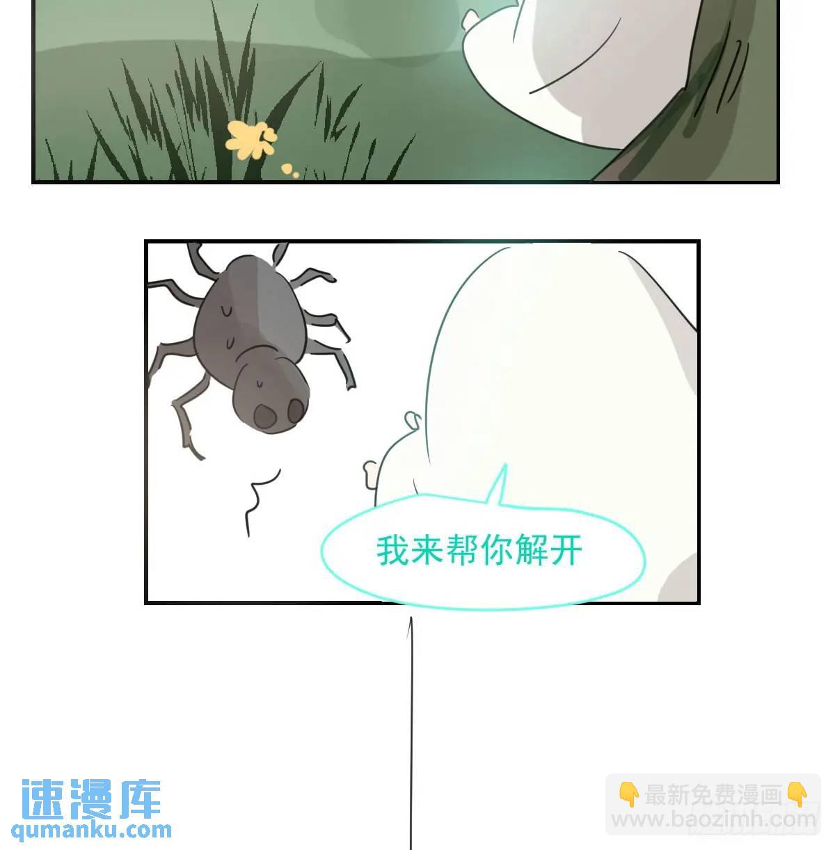 番外 小种子流浪记(1/3)-第285话