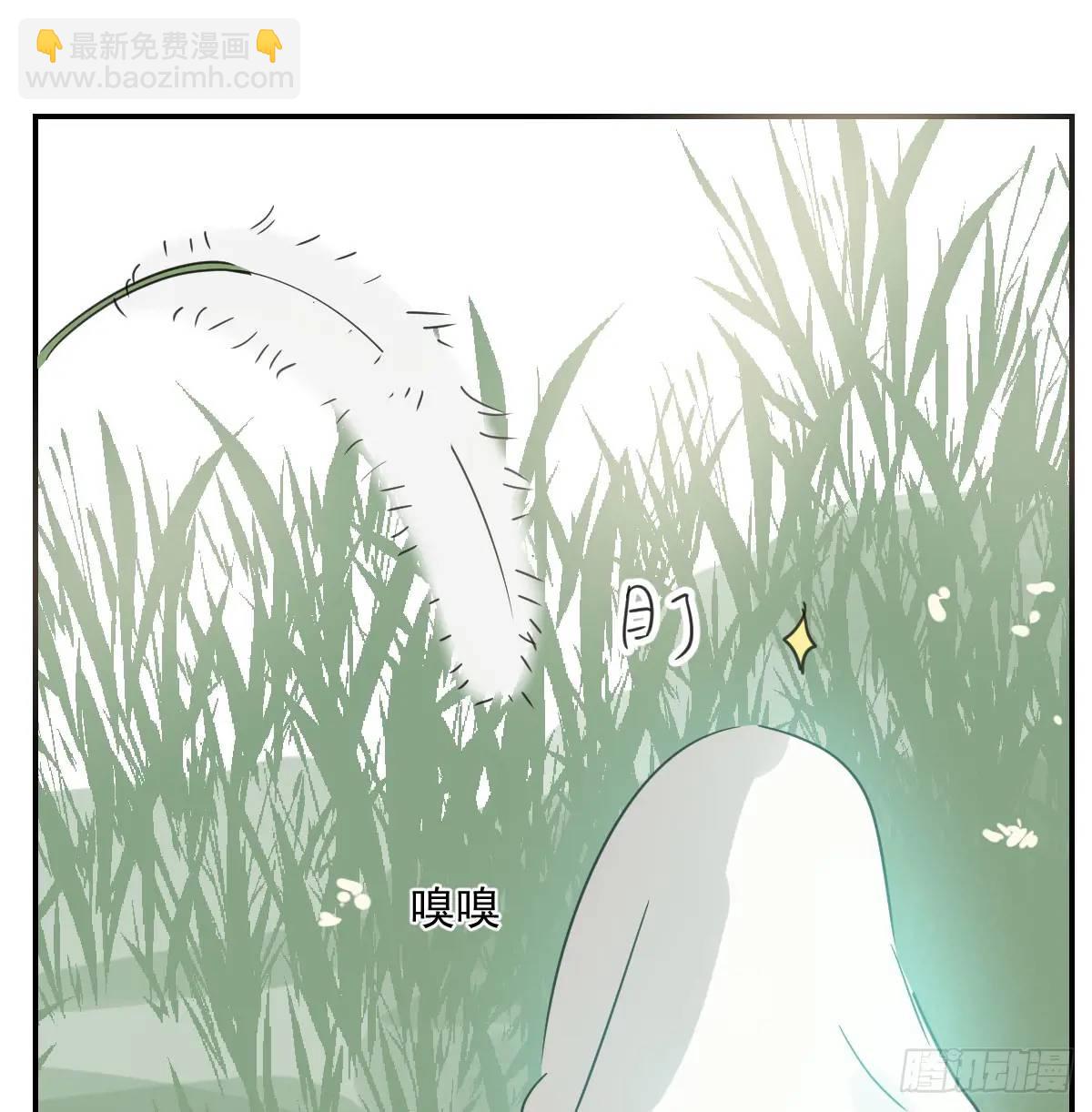 番外 小种子流浪记(1/3)-第285话