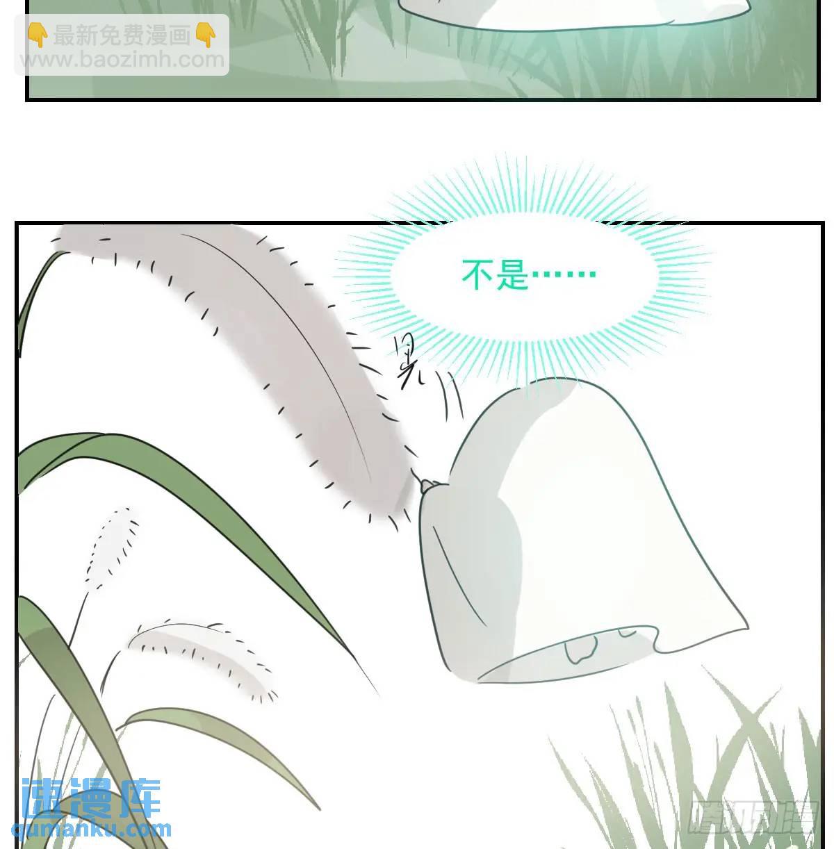 番外 小种子流浪记(1/3)-第285话