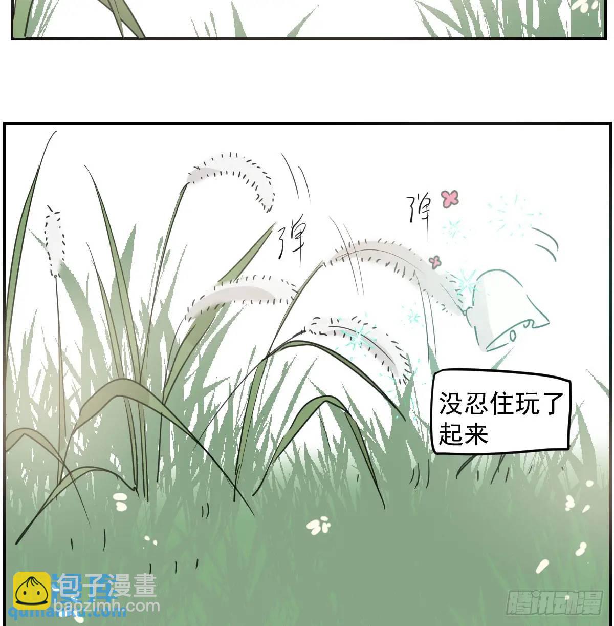 番外 小种子流浪记(1/3)-第285话