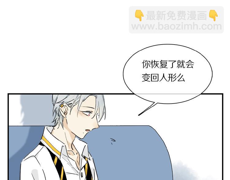 第29话 美丽的伤痕(1/2)-第31话