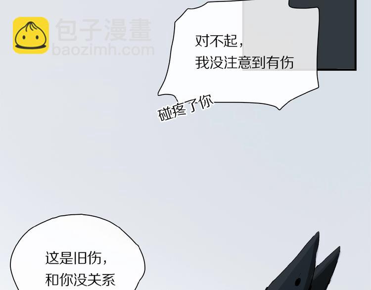 第29话 美丽的伤痕(1/2)-第31话