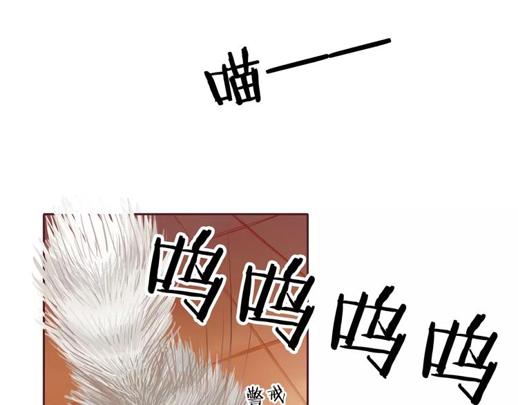 第3话 二当家的(1/2)-第3话