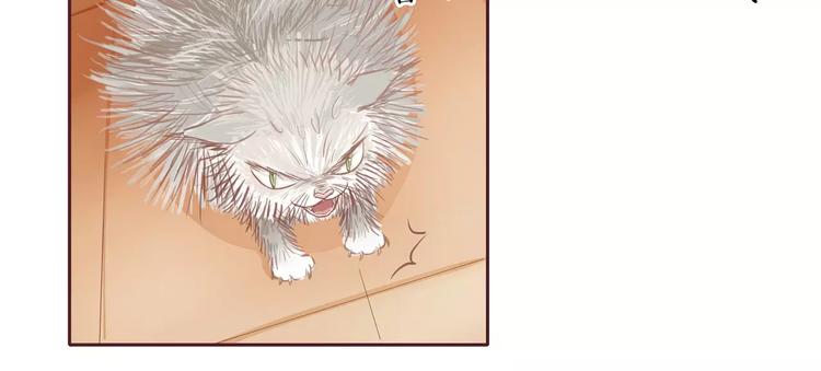 第3话 二当家的(1/2)-第3话