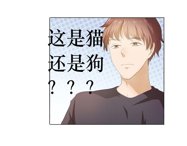 第34话 不就跳个墙吗！(1/2)-第35话