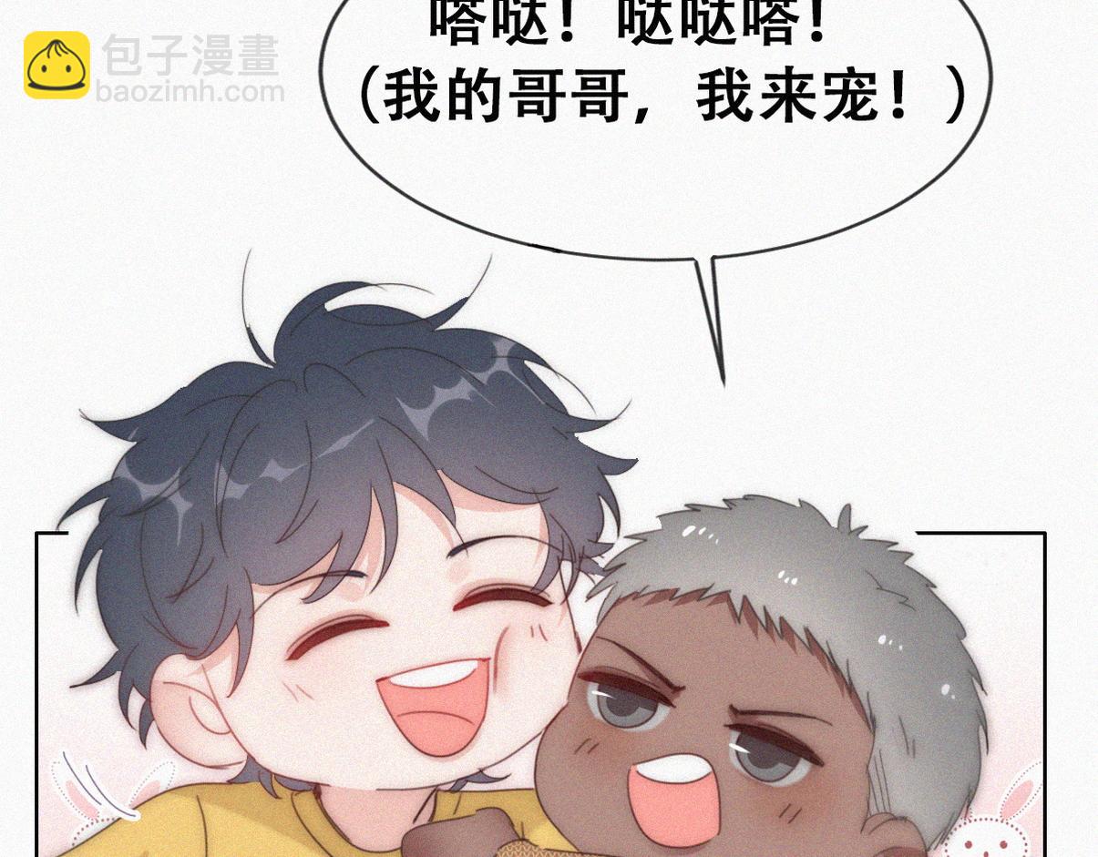 养娃小剧场【哥哥我来宠】(1/2)-第221话