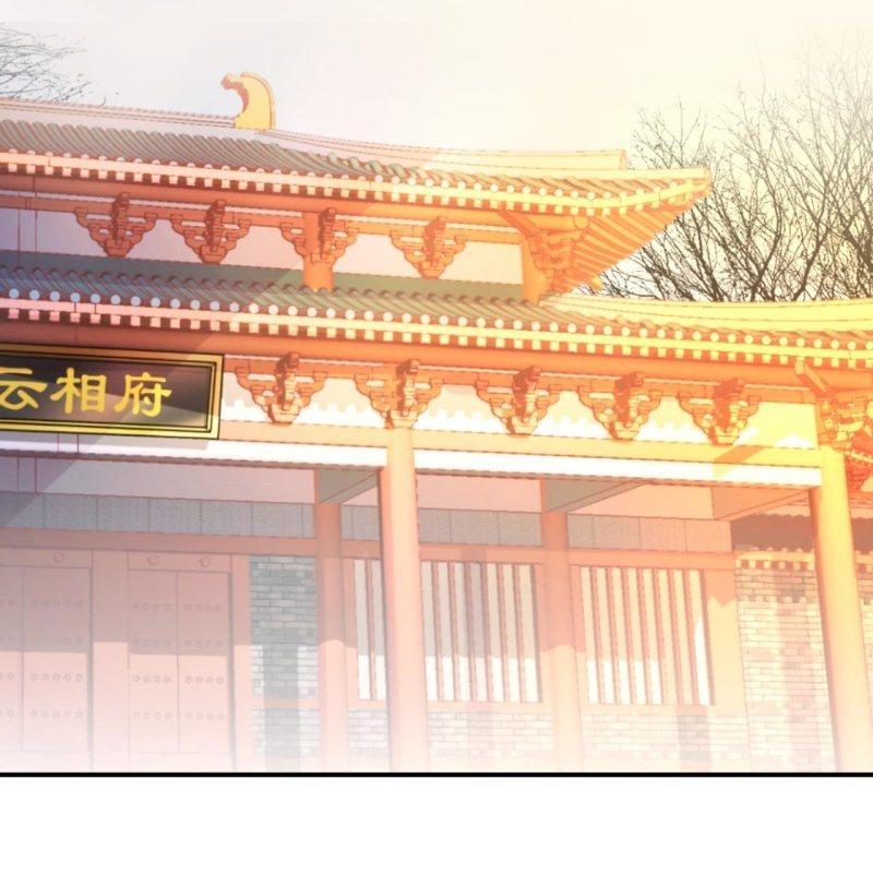 第100话 赶回相府(1/2)-第101话