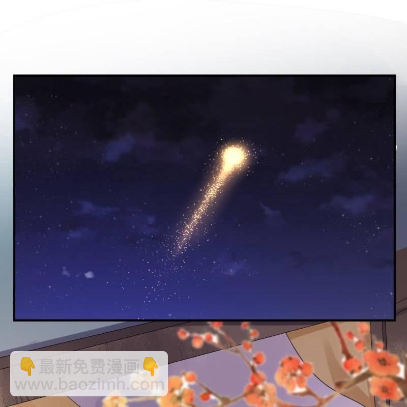 第116话 烟花灿烂(1/2)-第117话