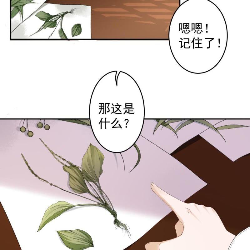 第160话 辨认药草(1/2)-第161话