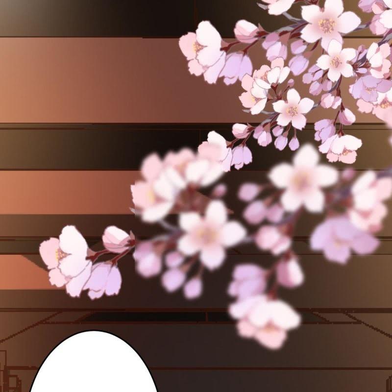 第50话 千雪的价值-第51话