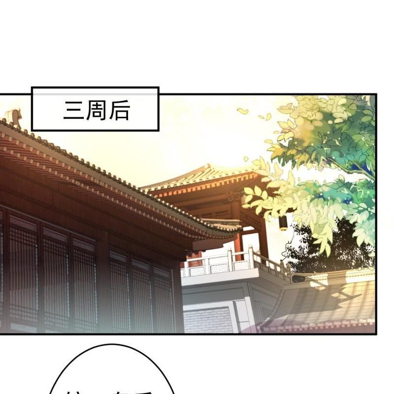 第62话 高能芦荟胶(1/2)-第63话
