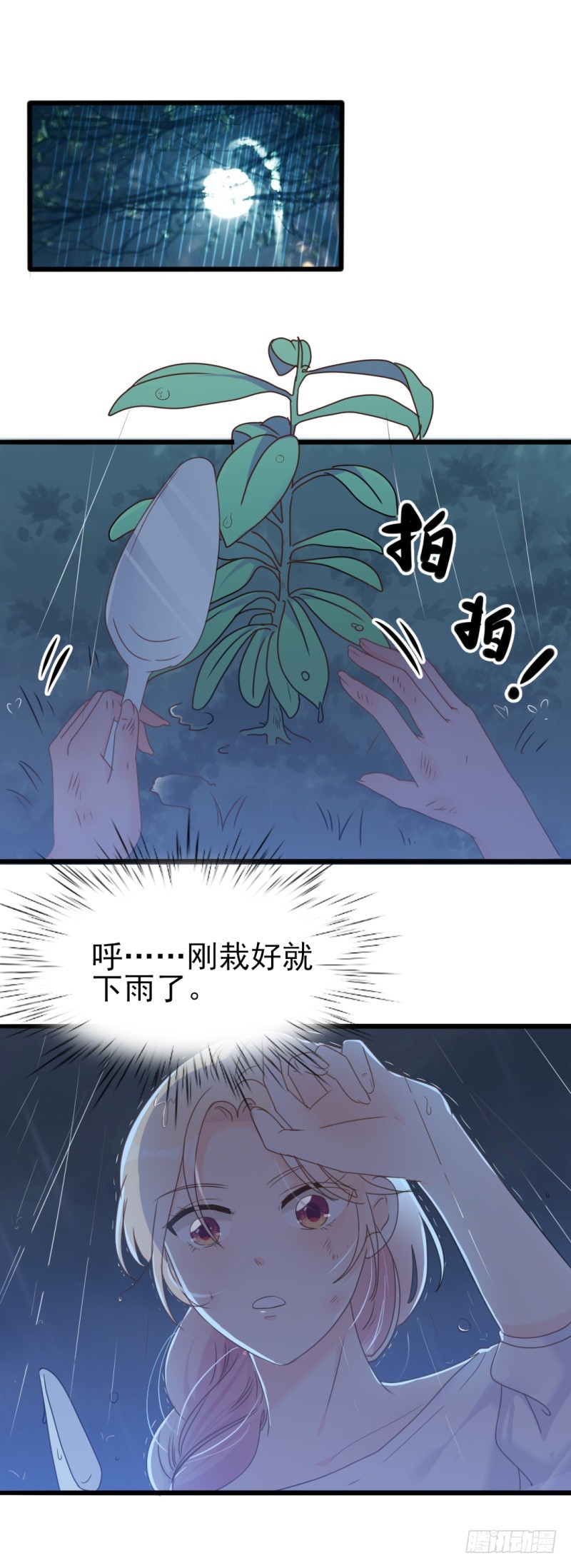 第34话 庭有枇杷树-第35话