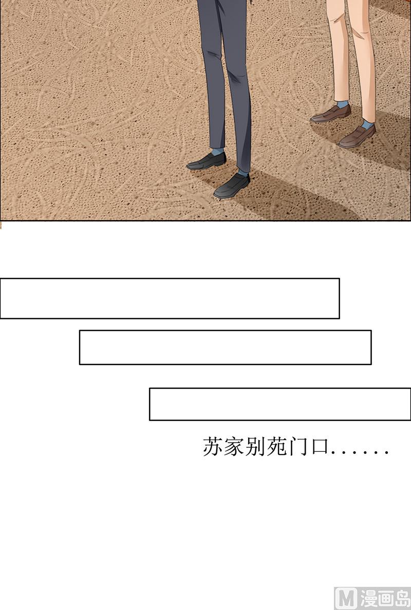 第53话 成为苏氏股东-第53话
