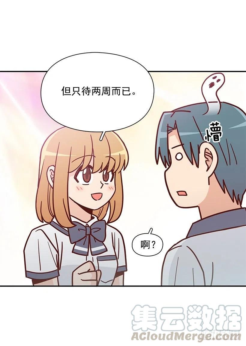 早就知道(1/2)-第223话