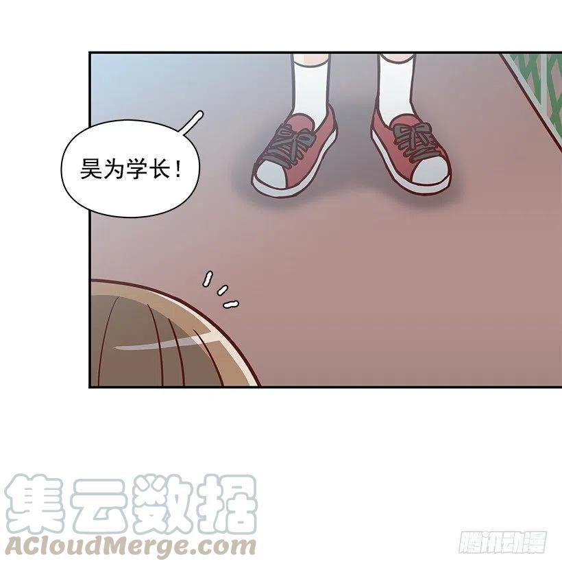 崭新的夏天(1/2)-第233话