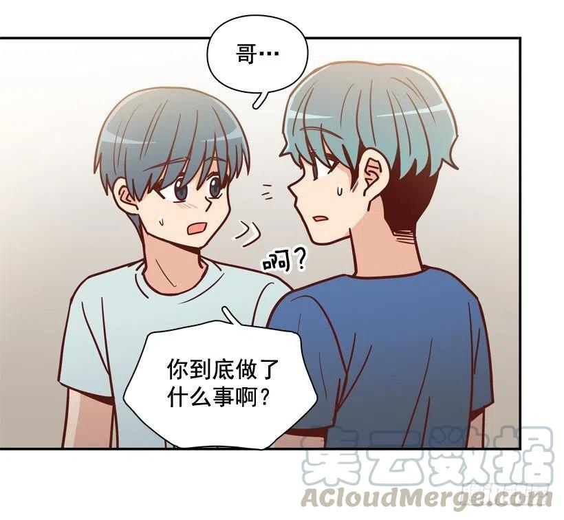 用哥哥换朋友-第259话