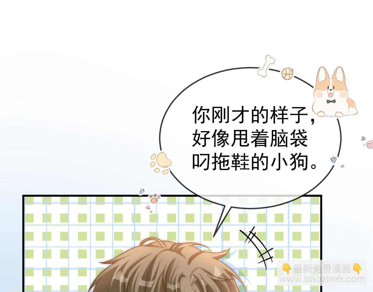 第44话 江辰枫护崽(1/3)-第45话