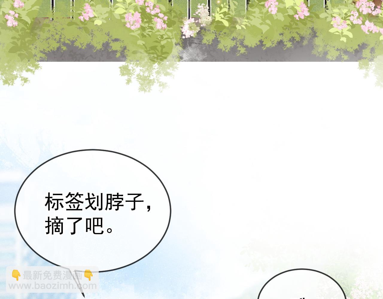 第44话 江辰枫护崽(1/3)-第45话