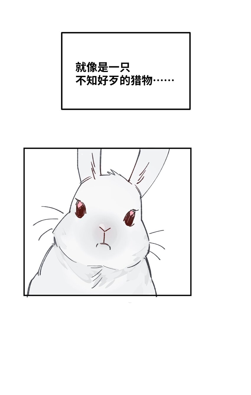 032 狼与兔-第37话
