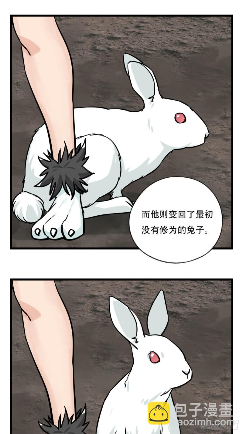 六十六，嫦娥玉兔（十一）-第275话