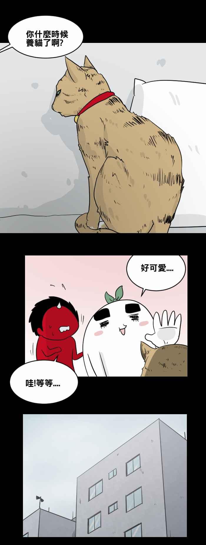 🍵百鬼夜行志・一夜怪谈之卷 [第461话] 猫妖(一) 第5页