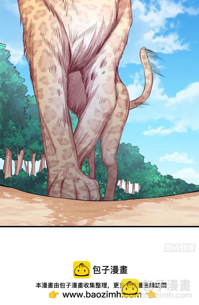 215-第215话