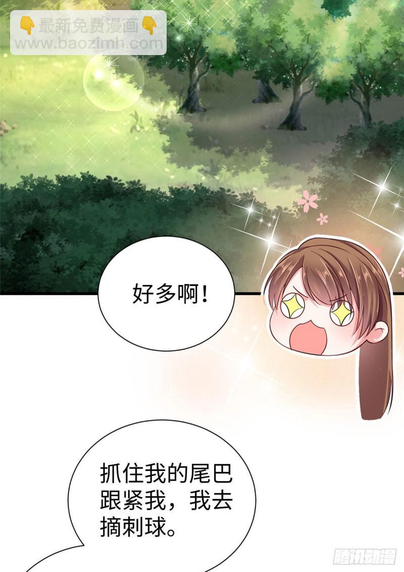 251-第251话