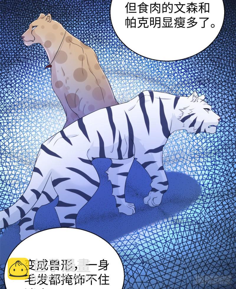 280-第281话
