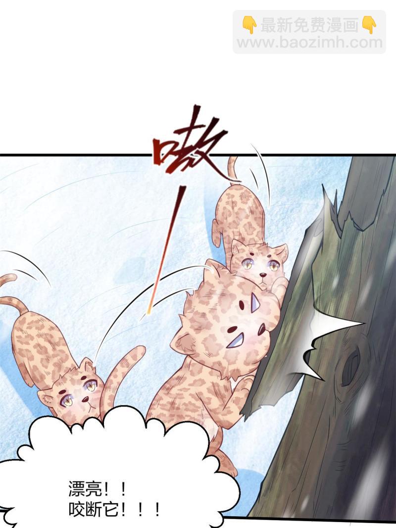 443-第445话