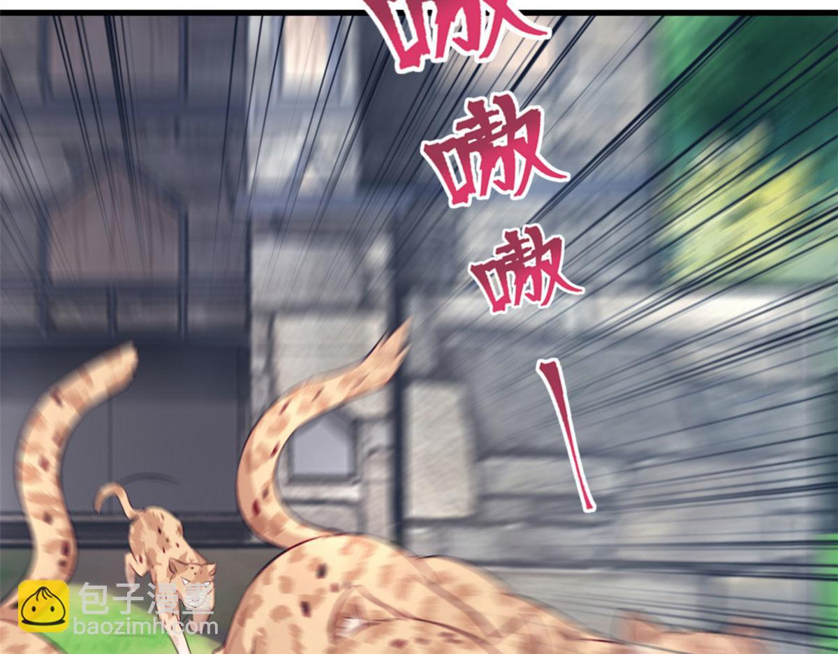 489(1/3)-第491话
