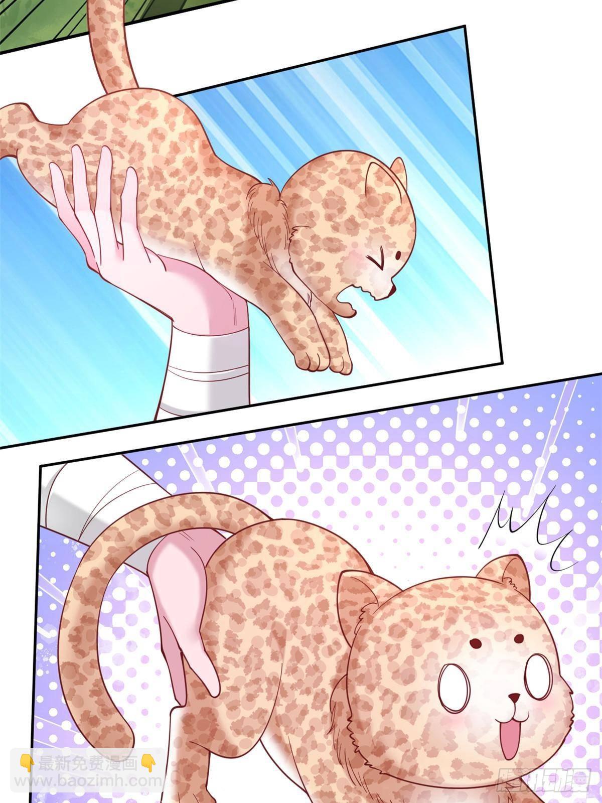 609-第611话